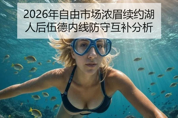 2026年自由市场浓眉续约湖人后伍德内线防守互补分析
